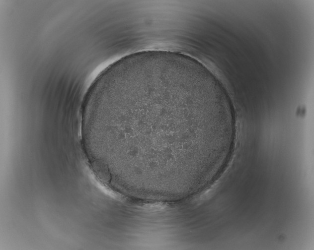 X0000113570838200910091436