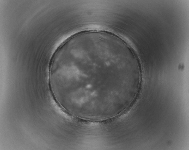 X0000113570839200910091436