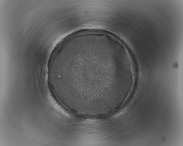 X0000113570840200910091436