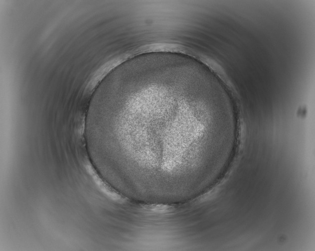 X0000113570841200910091436