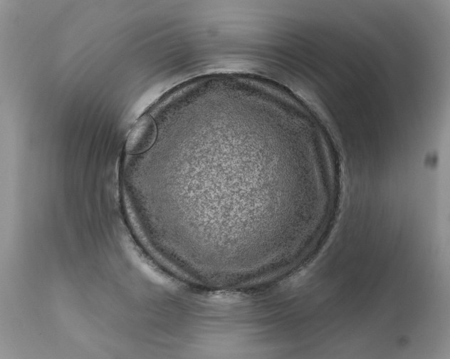 X0000113570842200910091437