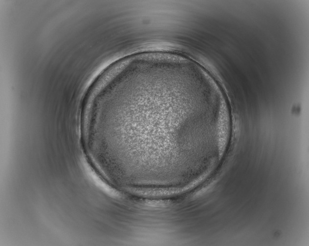 X0000113570843200910091437