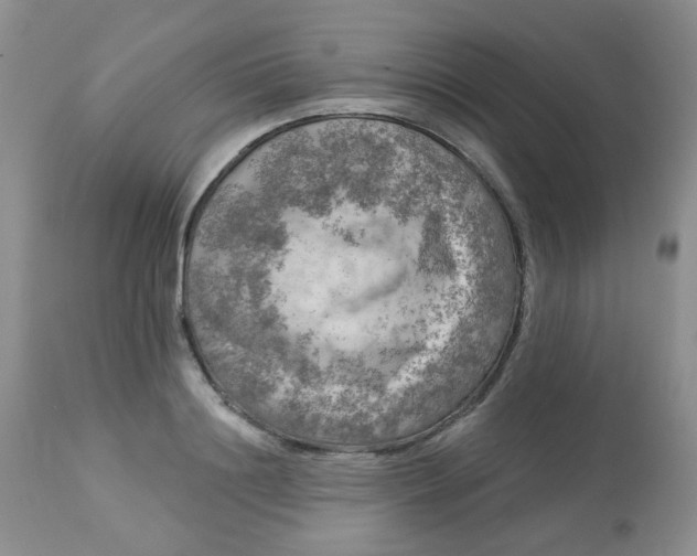 X0000113570844200910091437