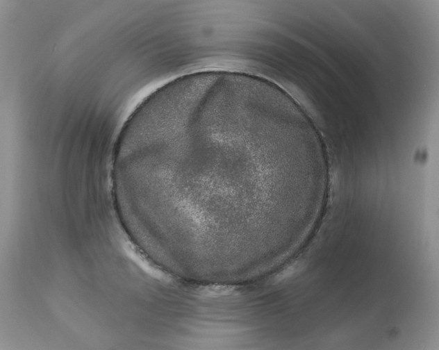 X0000113570846200910091437