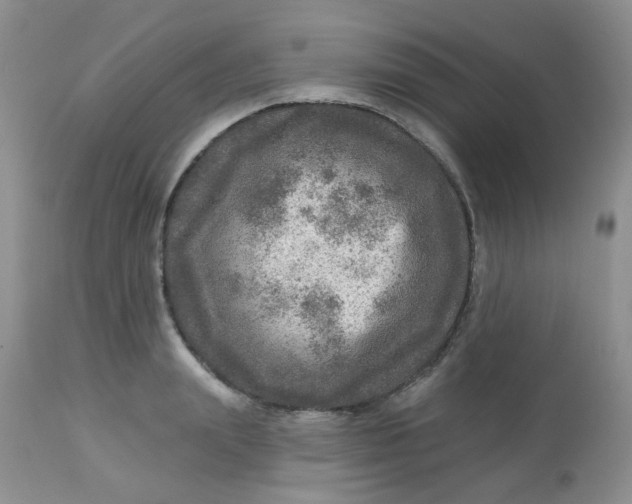 X0000113570847200910091437