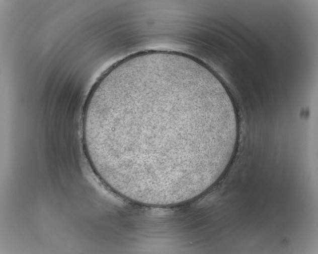 X0000113570848200910091437