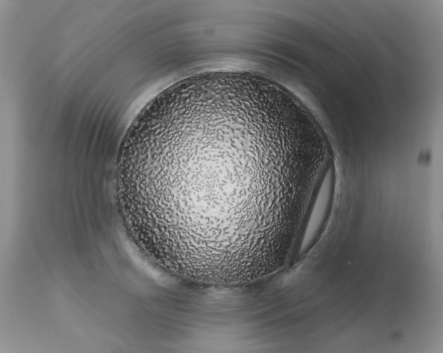 X0000113570850200910091437