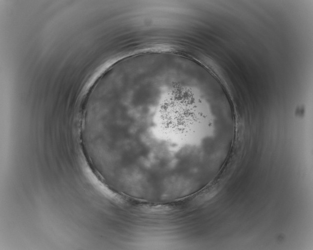 X0000113570851200910091437