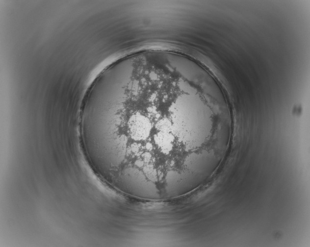 X0000113570853200910091437