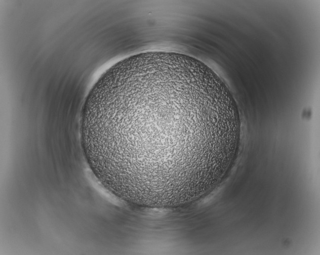 X0000113570854200910091437