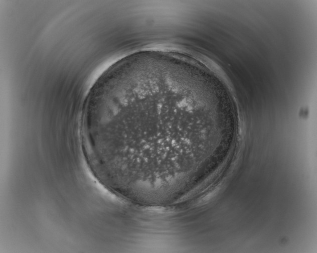 X0000113570855200910091437