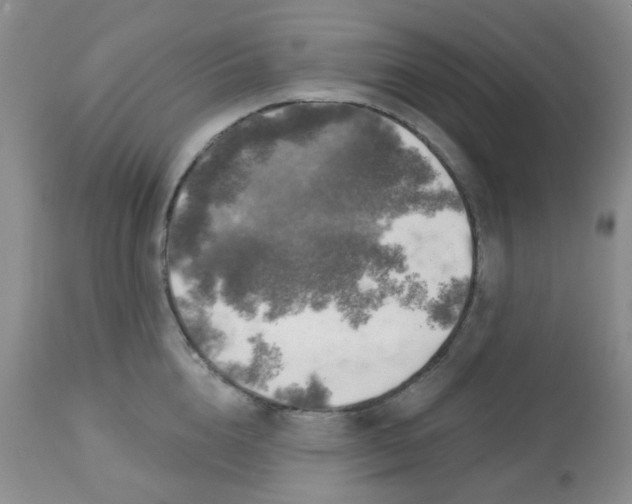 X0000113570856200910091437