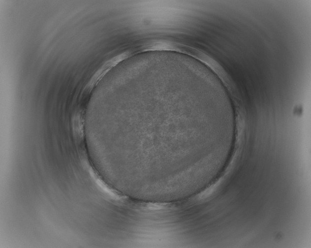 X0000113570857200910091437