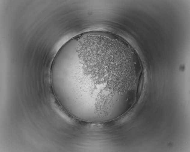 X0000113570858200910091437