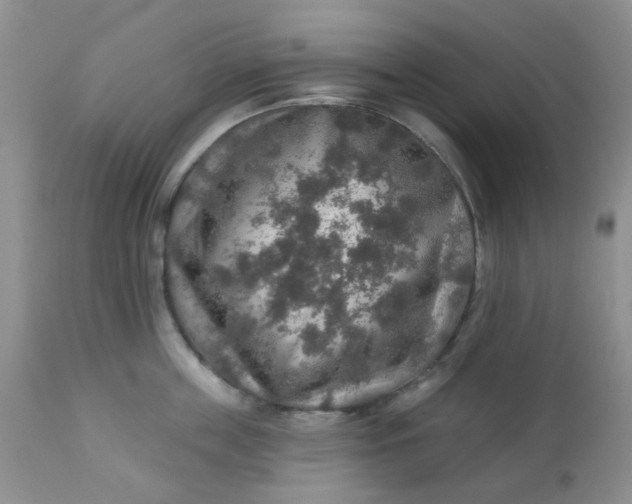 X0000113570859200910091437