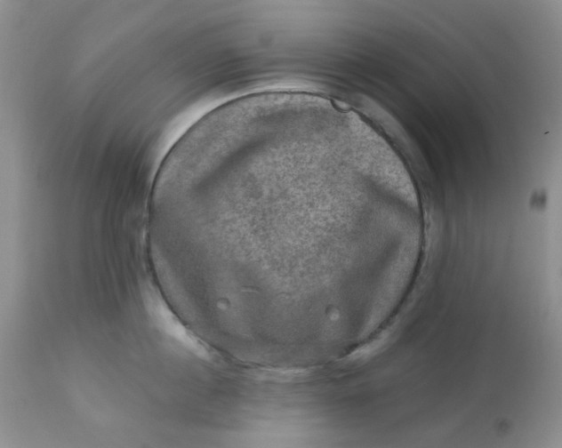 X0000113570860200910091437