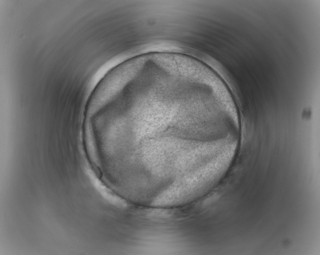 X0000113570861200910091437