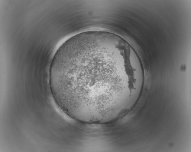 X0000113570862200910091437