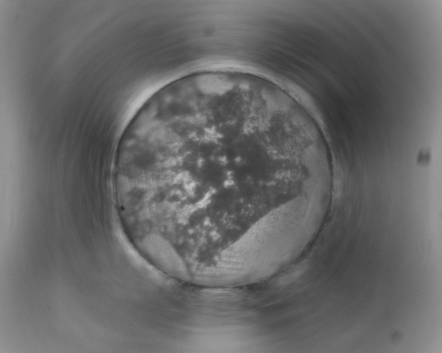 X0000113570863200910091437