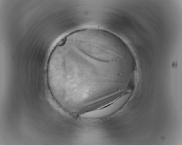 X0000113570864200910091437