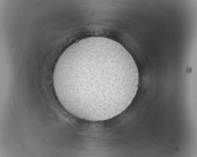 X0000113570865200910091436