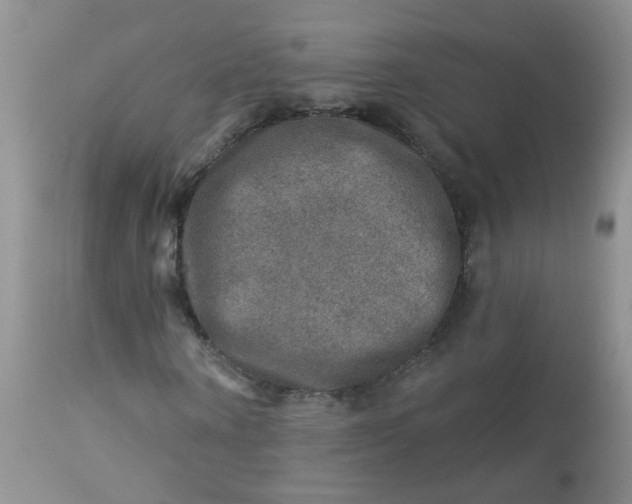 X0000113570866200910091436