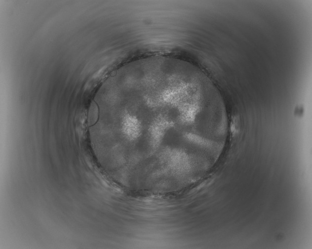 X0000113570867200910091436