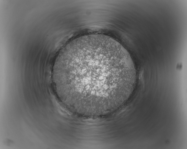 X0000113570868200910091436