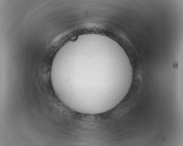 X0000113570869200910091436