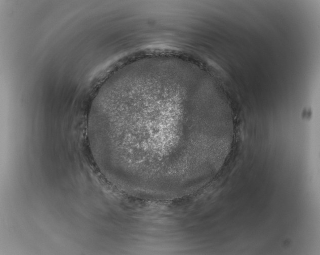 X0000113570870200910091436