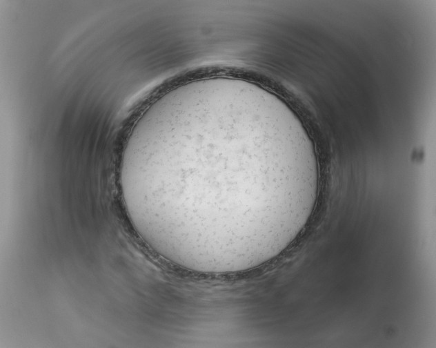 X0000113570872200910091436