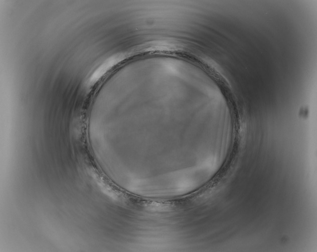 X0000113570874200910091436