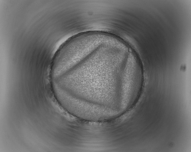 X0000113570875200910091436