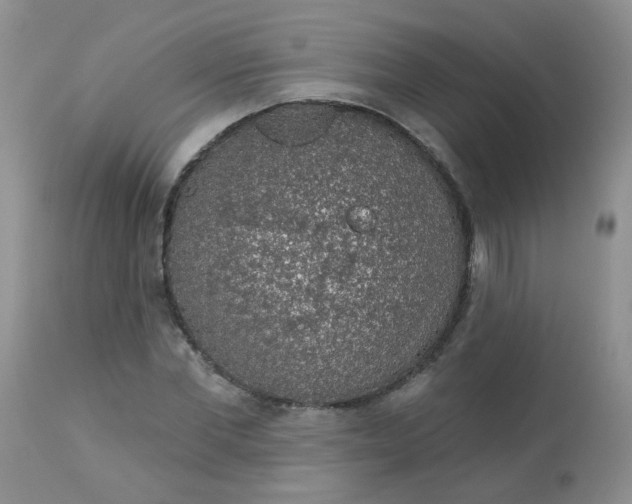 X0000113570877200910091436