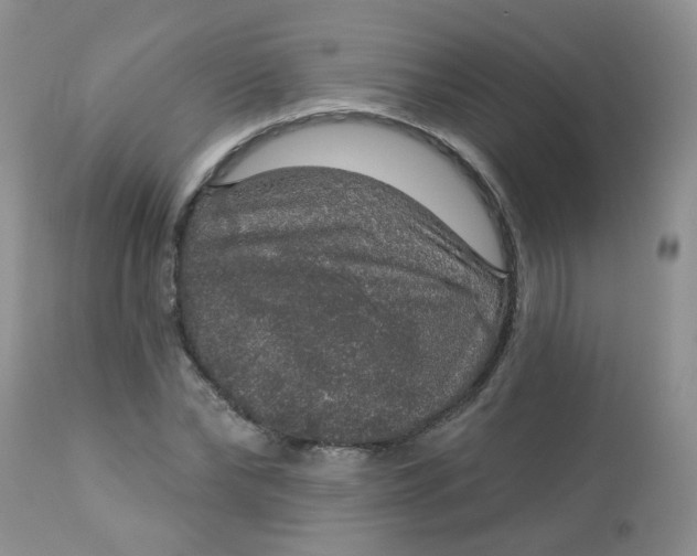 X0000113570878200910091436