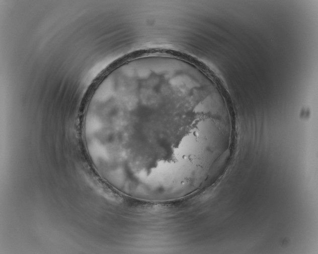 X0000113570879200910091436