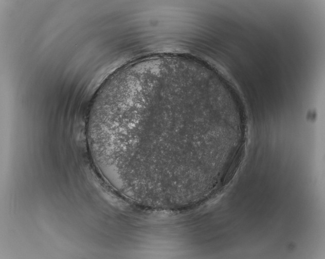 X0000113570881200910091436