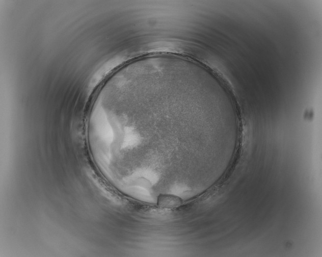 X0000113570882200910091436