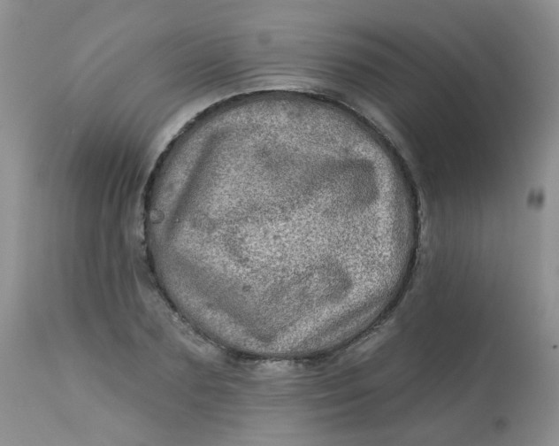 X0000113570883200910091436