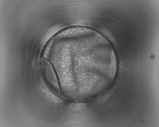 X0000113570884200910091436