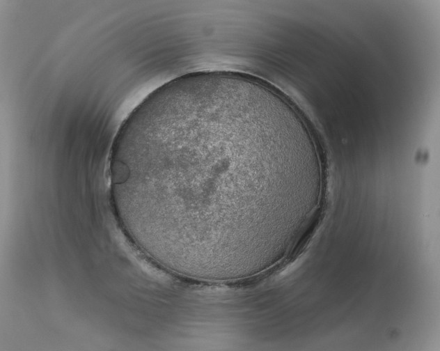 X0000113570885200910091436