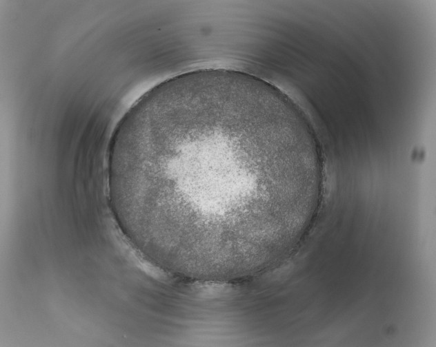 X0000113570886200910091436