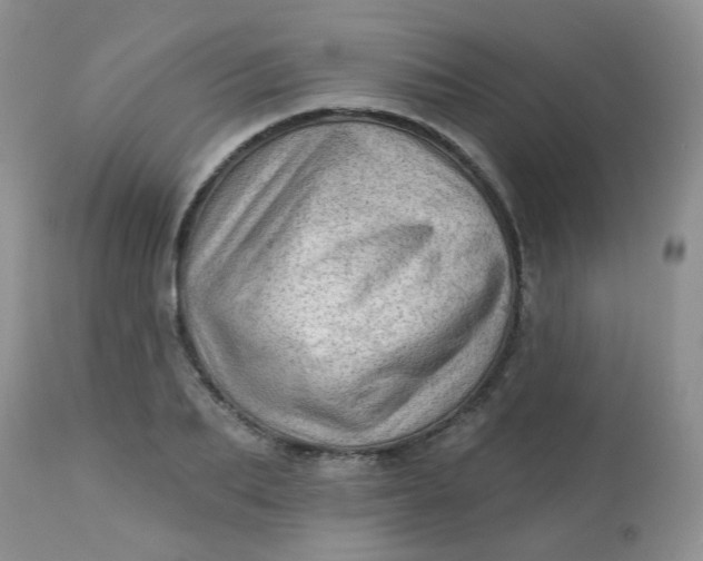 X0000113570887200910091436