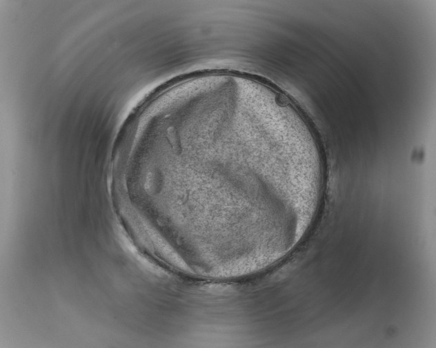 X0000113570888200910091436