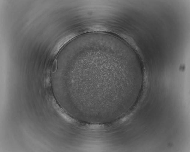 X0000113570889200910091436