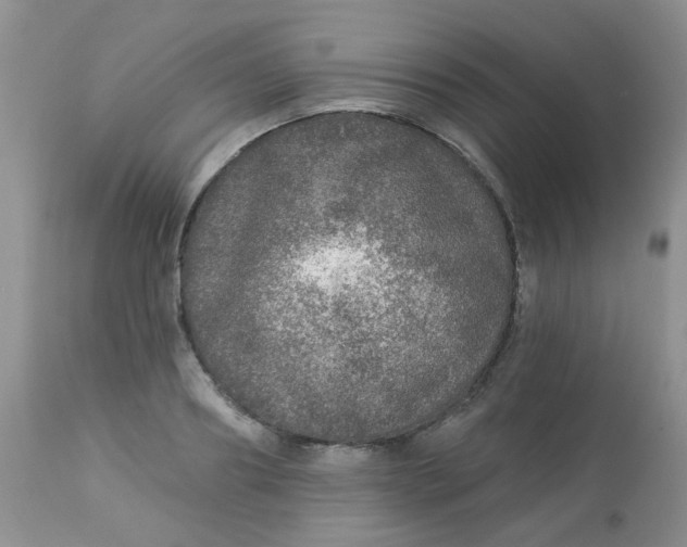 X0000113570890200910091436