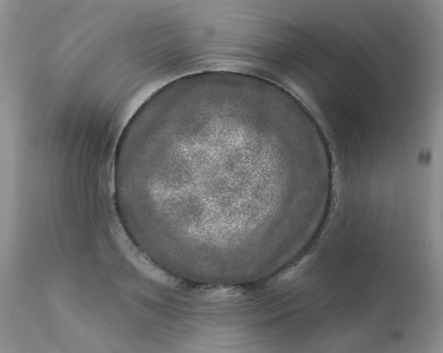 X0000113570891200910091436