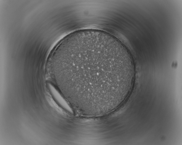 X0000113570892200910091436