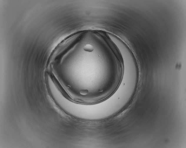 X0000113570893200910091436