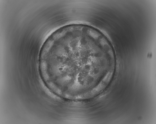 X0000113570895200910091436